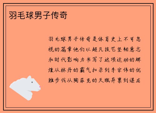 羽毛球男子传奇